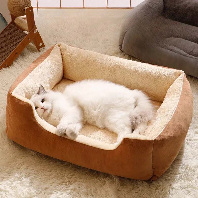 Cozy Pet Bed & Cushion