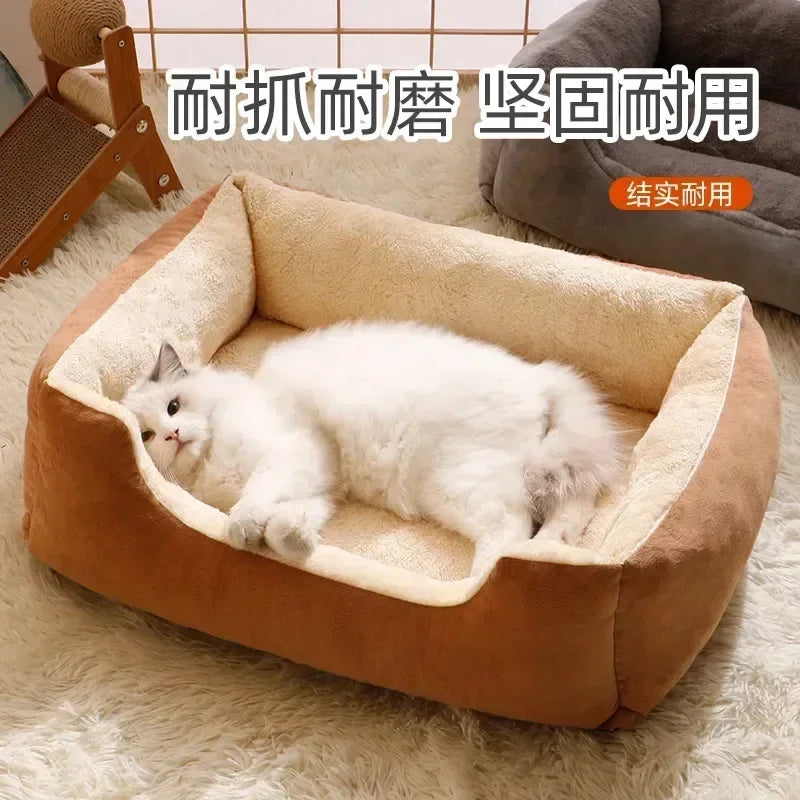 Cozy Pet Bed & Cushion