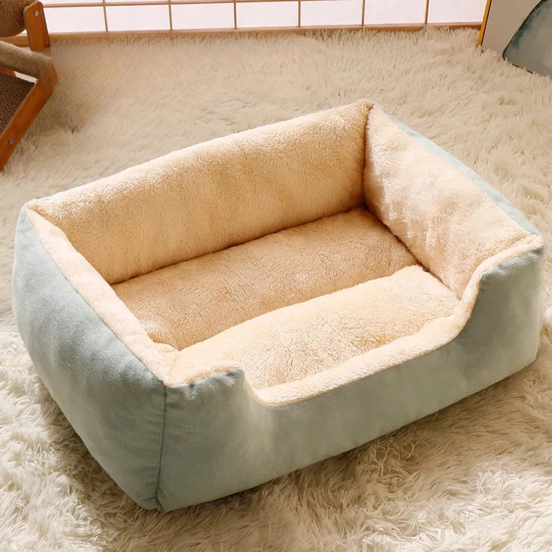 Cozy Pet Bed & Cushion