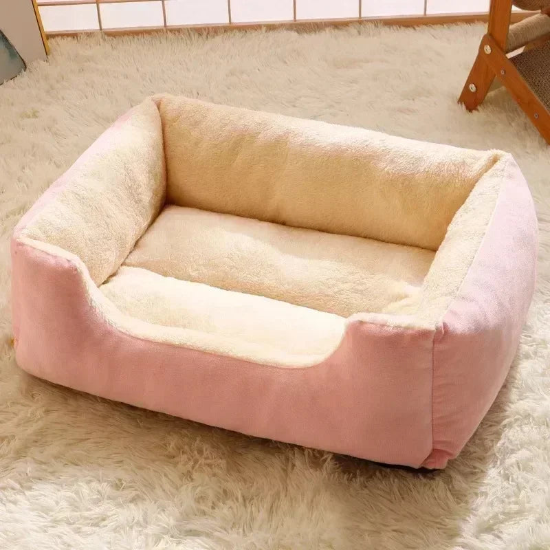 Cozy Pet Bed & Cushion