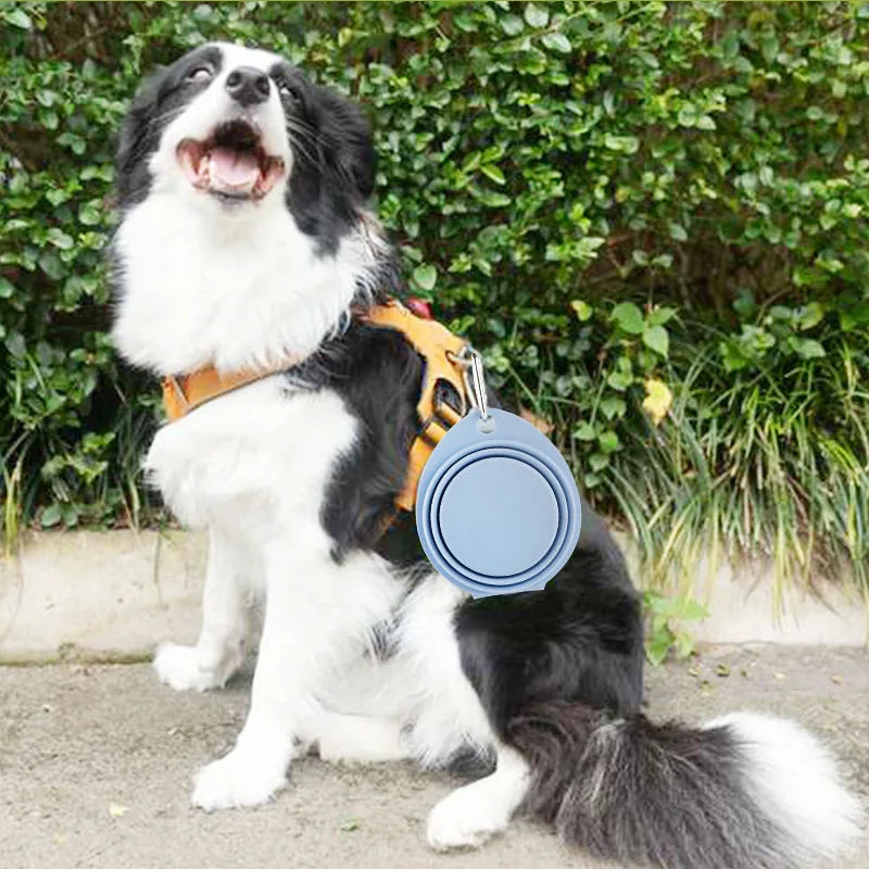 Silicone Foldable Slow Feeding Pet Bowl