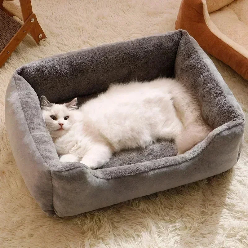 Cozy Pet Bed & Cushion